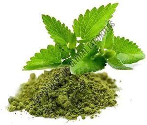 Organic Pure Tulsi Powder