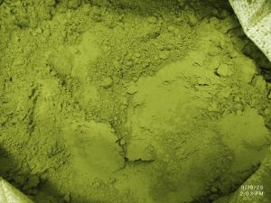 Wheatgrass Powder