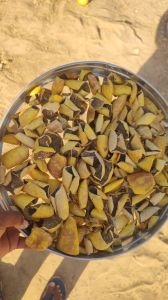 Indrayan Fruit (Tuba)