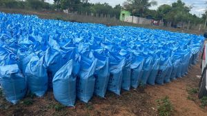 Bio Fertilizer