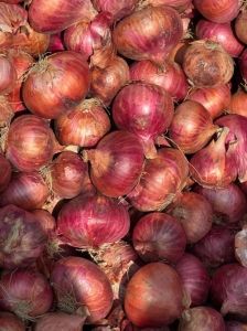 Fresh Red Onion