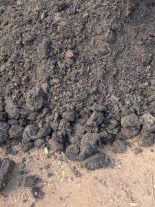 Cowdung Fertilizer