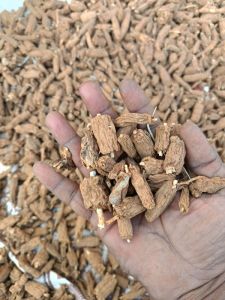 Dry Nannari Root