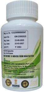 Ayurvedic Piles Relief Capsule