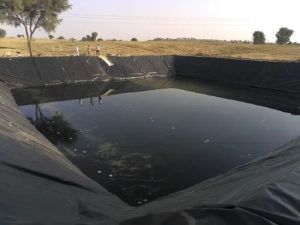 2mm HDPE Pond Liner Sheet