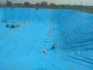 4mm HDPE Pond Liner Sheet