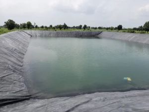 Black HDPE Pond Liner Sheet