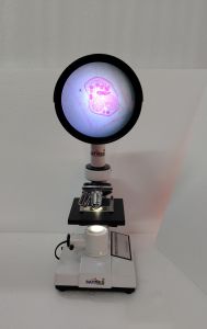 200x Advance Projection Microscope