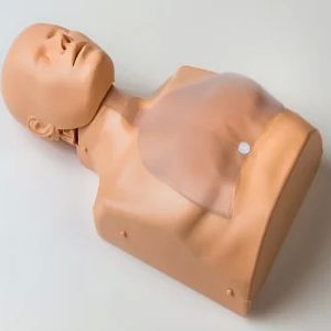 Half Body Cpr Training Manikin