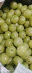Amla