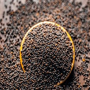 Black Mustard Seeds