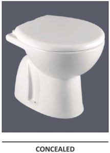 Concealed Ceramic Western Toilet Seat
