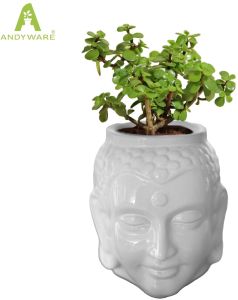 Premium Ceramic Flower Pot