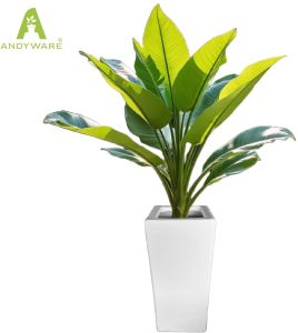 White Ceramic Flower Pot