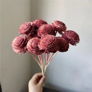 2.5 Inch Light Pink Sola Flower