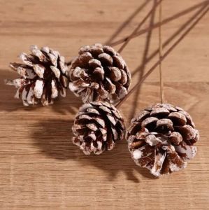 10 Inch Natural Pine Cone