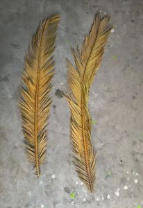 18inch Skeleton Leaves