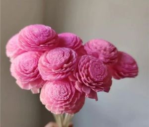 2.5 Inch Light Pink Sola Flower