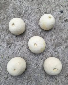 3.5inch Natural Bell Cup On Stem