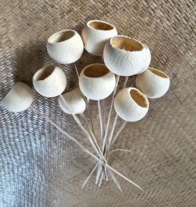 3.5inch Natural Bell Cup On Stem