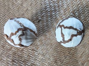 3 Inch Sola Cabbage Ball