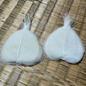 3 Inch White Skeleton Leaves