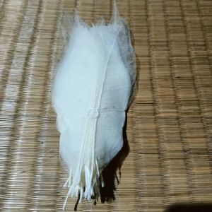 3 Inch White Skeleton Leaves