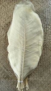 3 Inch White Skeleton Leaves