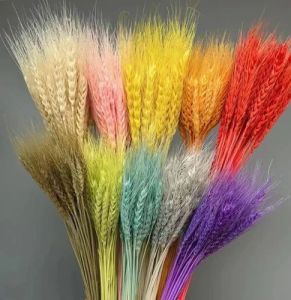 18 Inch Light Brown Wheatgrass