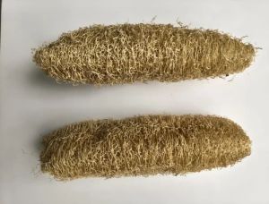 Light Brown Natural Loofah Sponge