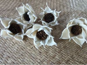 3 Inch Off White Sola Flower