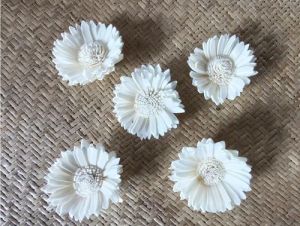 3 Inch Off White Sola Flower