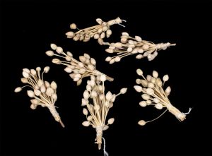 Artificial Off White Moti Bunch