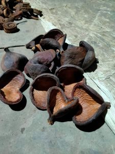 Natural Dried Badam Pods