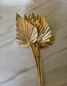 Dried Golden Palm Spear