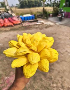 Dried Yellow Corn Husk Flower