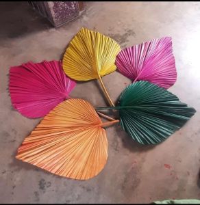 Multicolor Natural Dried Palm Leave