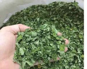 Dry Moringa Leaves