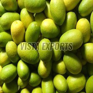 A Grade Kaji Nemu Lemon