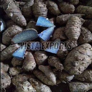 Black Turmeric Finger