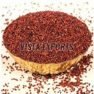 Finger Millet Seeds