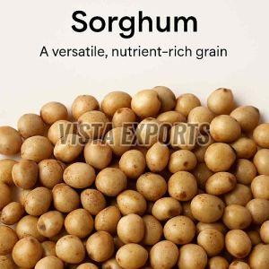 Sorghum Millet Seeds