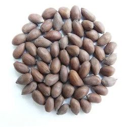 Raw Cotton Seeds