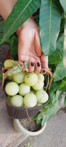 Amla Pickle