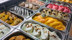 Ice Cream Making Plant