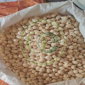 7 Suta Phool Makhana