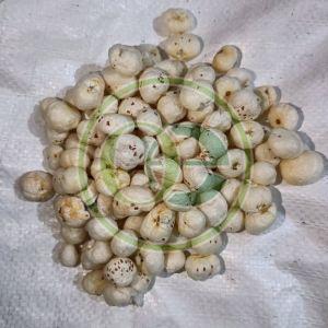Raw Handpicked Phool Makhana