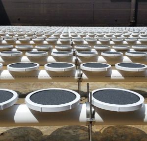 EPDM Disc Fine Bubble Diffuser