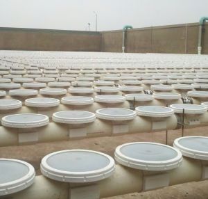 Silicone Disc Fine Bubble Diffuser