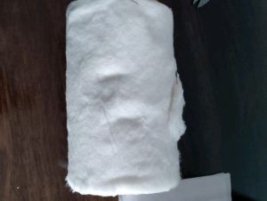 Absorbent Cotton Wool
